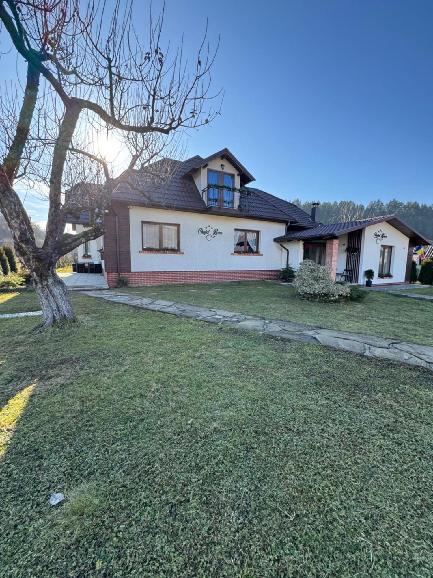 Chalet Bora Вишеу-де-Жос Экстерьер фото
