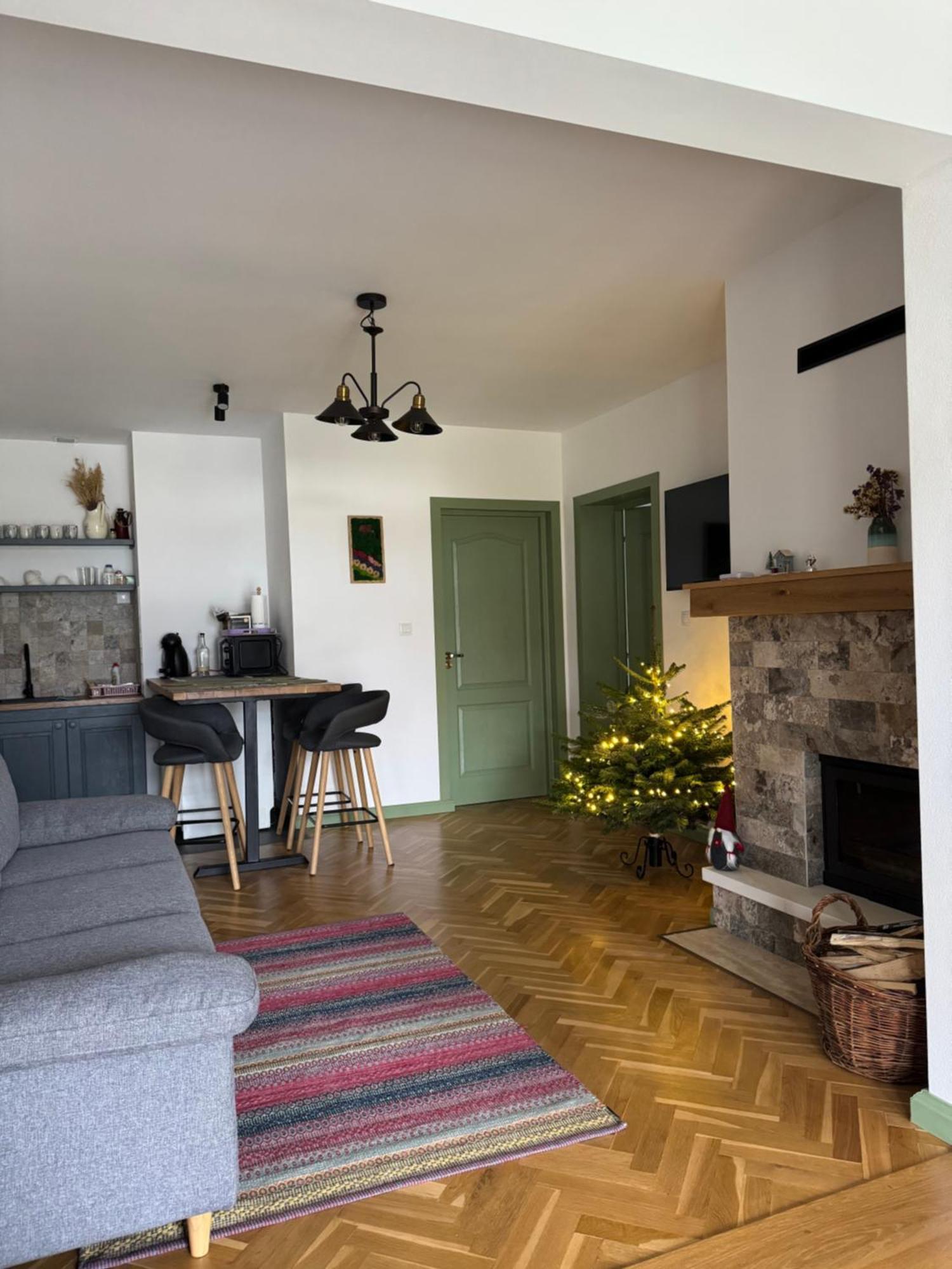 Chalet Bora Вишеу-де-Жос Экстерьер фото