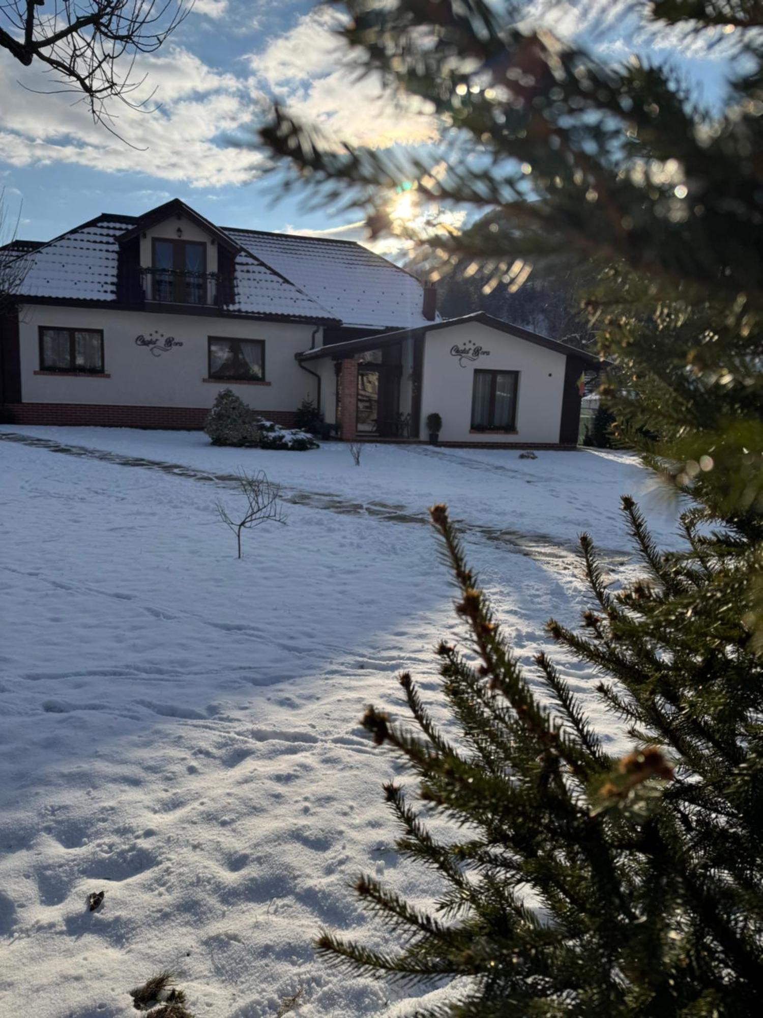 Chalet Bora Вишеу-де-Жос Экстерьер фото