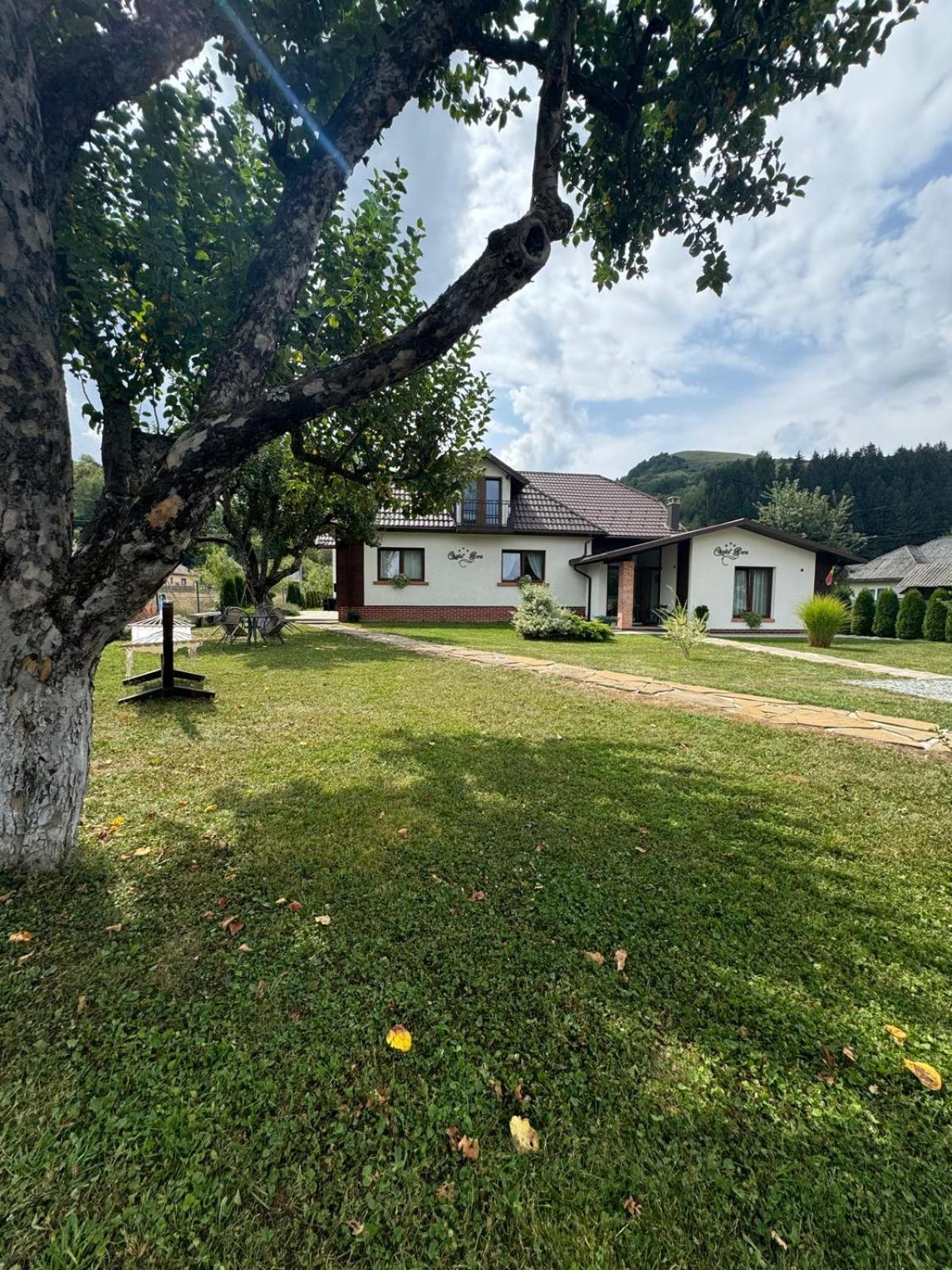 Chalet Bora Вишеу-де-Жос Экстерьер фото