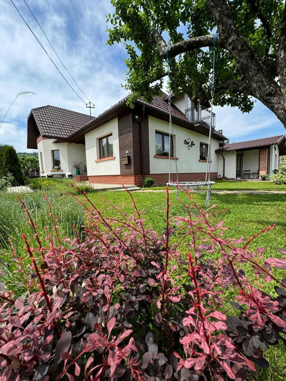 Chalet Bora Вишеу-де-Жос Экстерьер фото