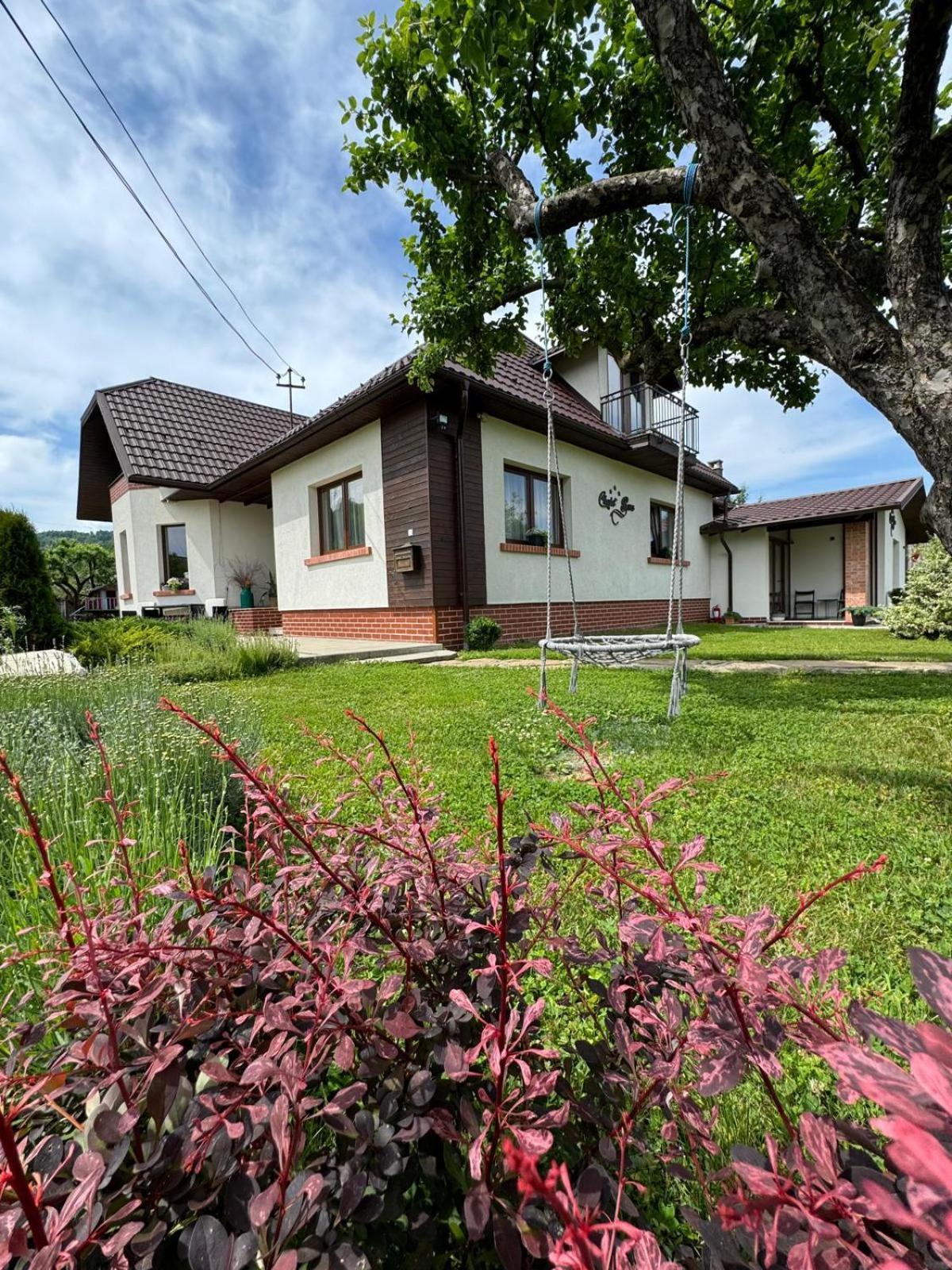 Chalet Bora Вишеу-де-Жос Экстерьер фото