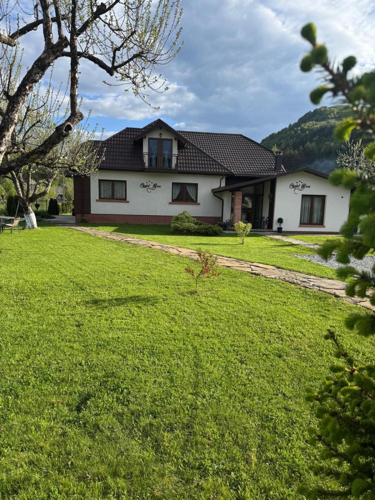 Chalet Bora Вишеу-де-Жос Экстерьер фото